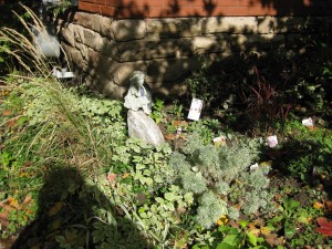 Front Garden where angels perched on rivers of silver, dispensed amongst the plethora of greens, with the best seat in the house to see the butterflies and humming birds touch down. Is that me, hiding in the shadows at the back, you think? No, not there, over there.