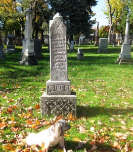 So here I am, in the Cemetery, taking a rest between chasing squirrels - see all that different, stones and monuments, some hand carved. Also note the massive trees that had limbs torn from their trunks during the ice storm , leaving birds without nests and some benches with less shade.