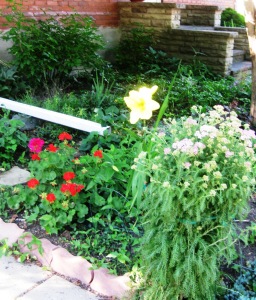 See front garden, bushes @ back, lovely yellow tulip, geraniums and wildflowers - a perfect camouflage for a Dancing Fairy to conceal her true identity.