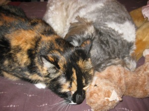 Gen and Jakita, BFF, asleep with Gen's Kitty, Tigger.