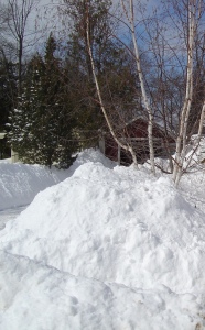 Snow banks on either side of Daddy's freshly plowed gateway.