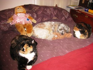 Ruby shares the story with Charlie, Gen, and Jakita using Tigger as a head rest.