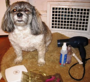 Brush, check, bag with tweezers, files, scissors, toe nail clippers, check, lavender oil and spray, check and is that really, Chanel 19 Powder? Yup, it is. Is it just me or does it look like Momma get soap in my right eye, again?