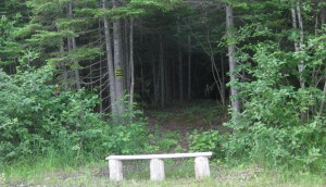 Homemade bench where the SSS meet before going to their Mirror Image Pond. No one is allowed to go alone because translating images is a team effort.