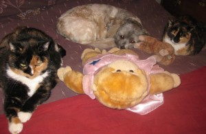 Charlie (on Left) Jakita and Gen (on Right) with Tigger, listen to Ruby talk about Momma wishing and hoping.