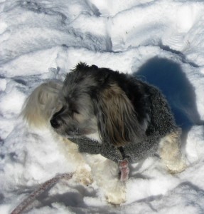 Just me and my shadow loving the day.