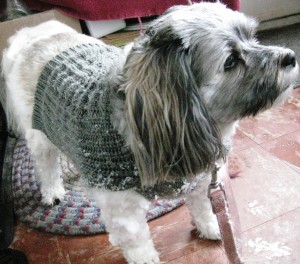 My little grey vest sweater.