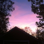 The very shed where I found shelter during the Arctic vortexes.