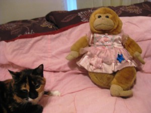 Ruby tells Gen story of the Plush...Gen looks sceptical...never know when to believe a monkey.