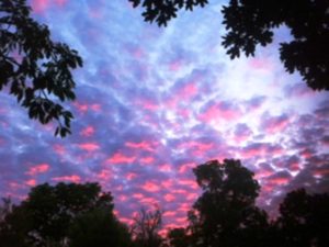 Pink Clouds that transport you to Paradise.