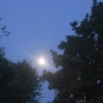 A Summer Moon