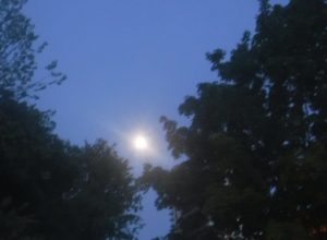 A Summer Moon