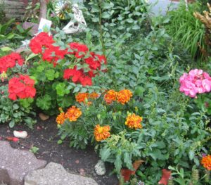 Brick barrier at bottom of summer garden that the plow chews and spews.